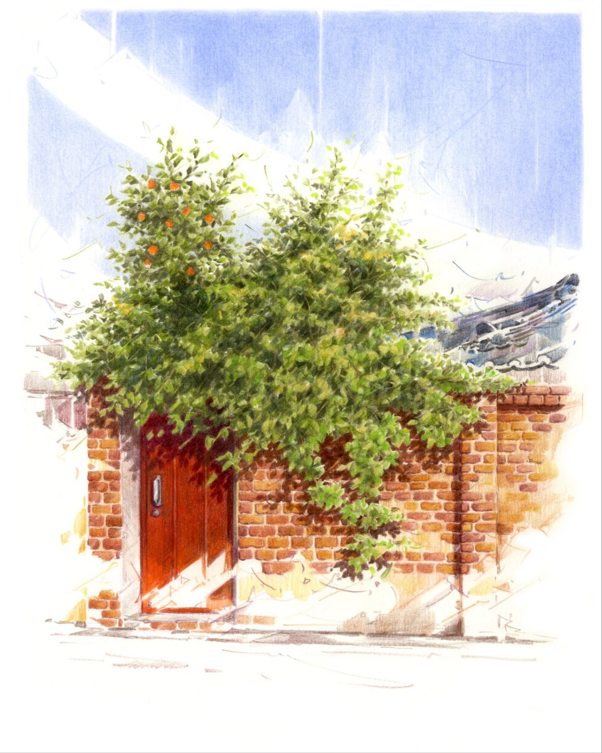 색연필화를 좋아하는 이유